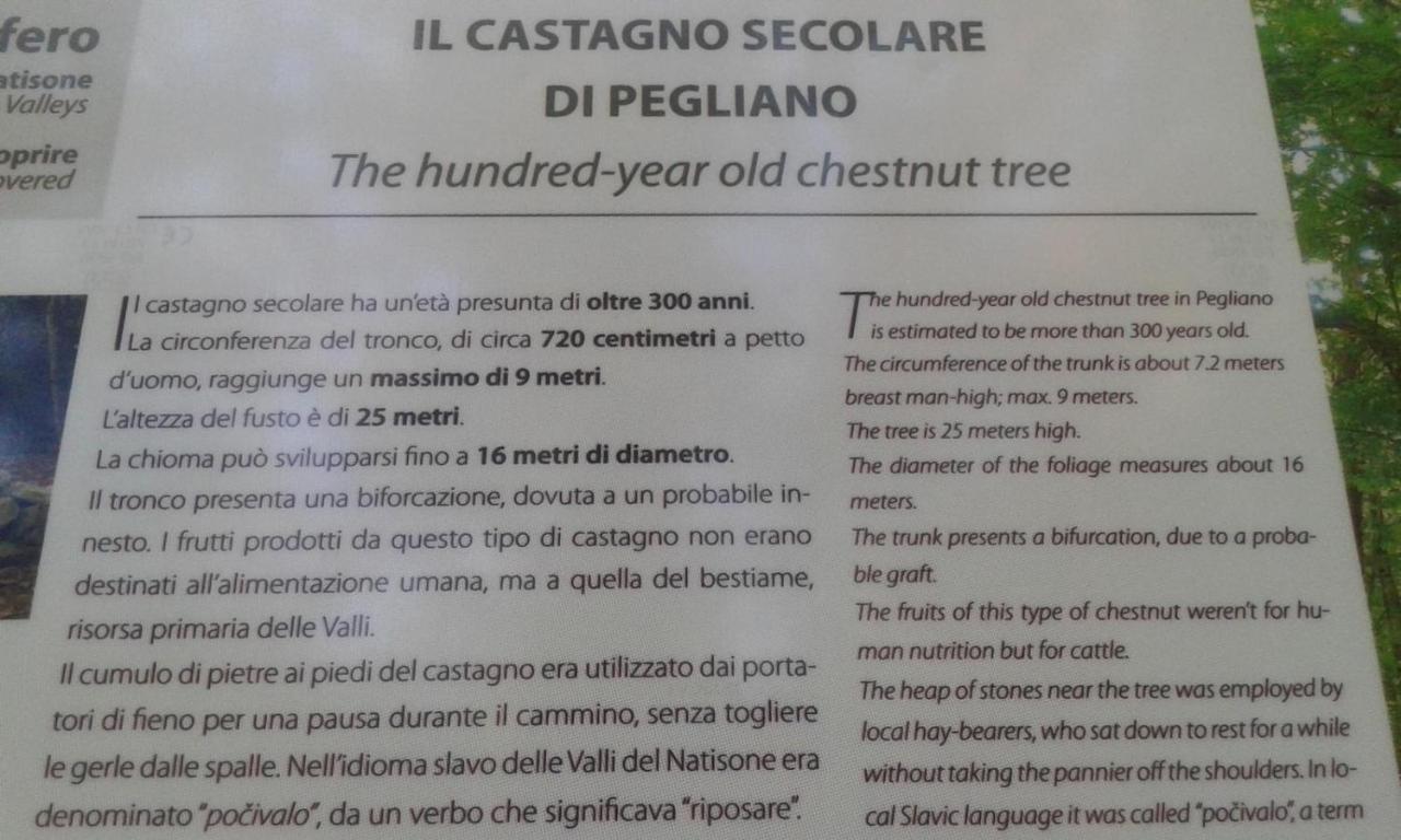 Casa Del Castagno Βίλα Pulfero Εξωτερικό φωτογραφία